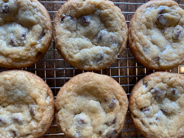 Chocolate Chip Cookie