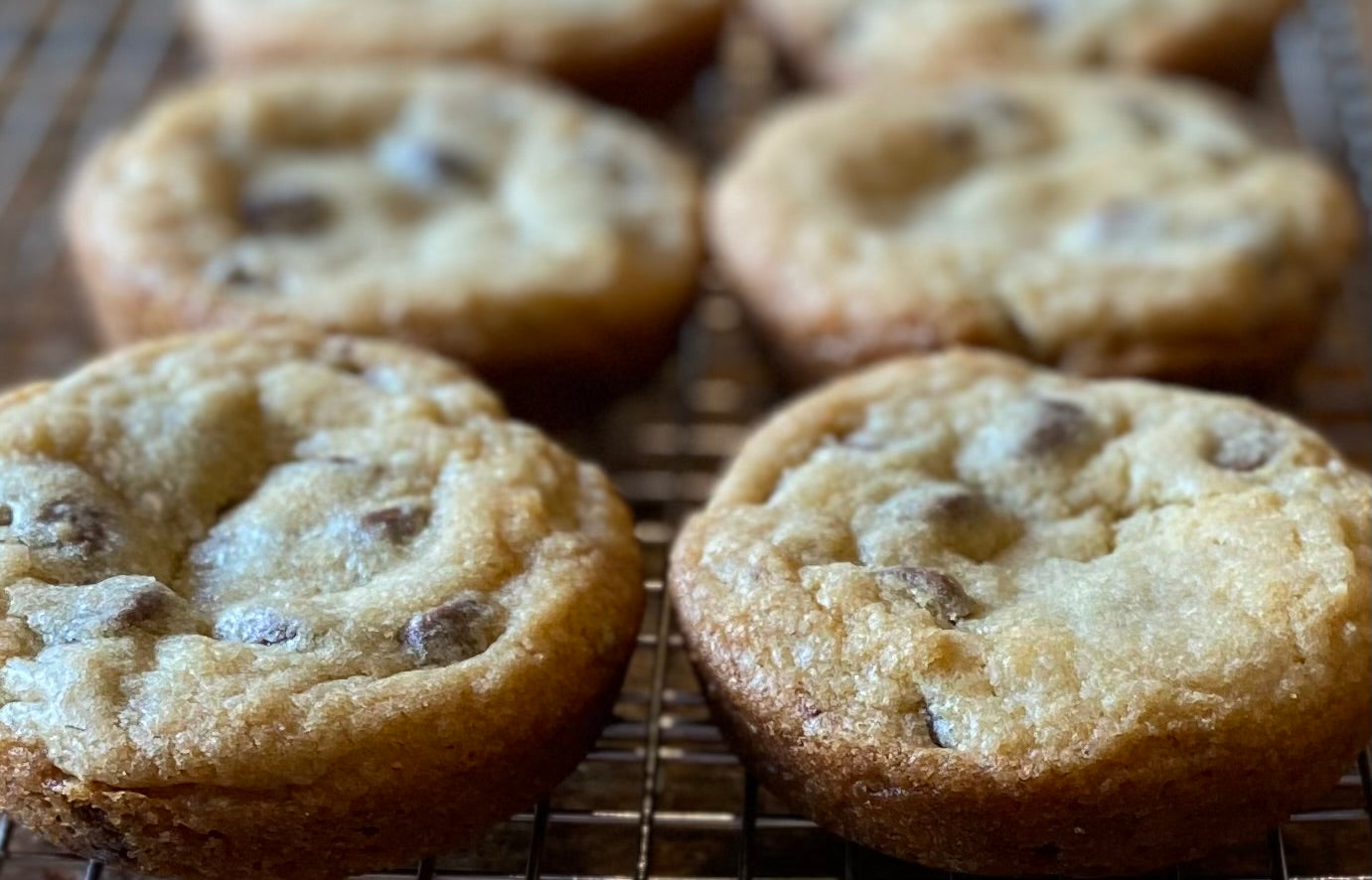 Chocolate Chip Cookie